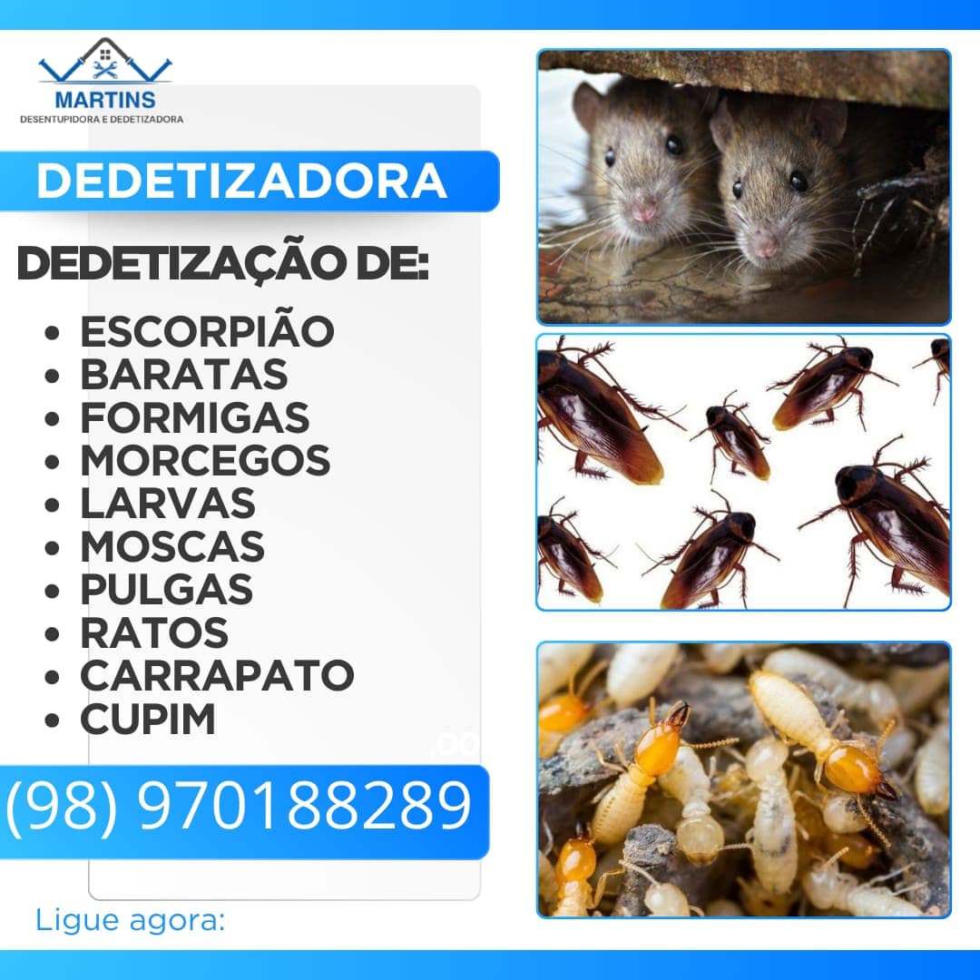 Serviços de Dedetizadora